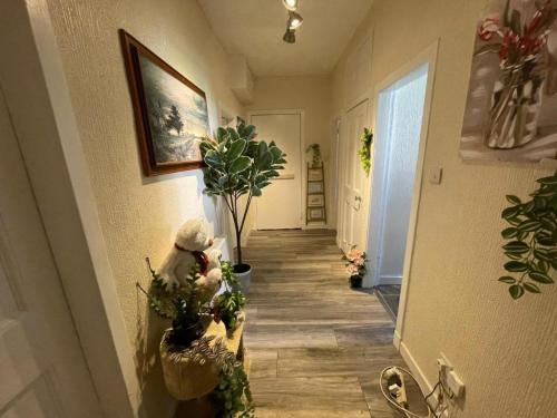 earls-street-scotstoun-glasgow-whiteinch-updated-2023-prices-20