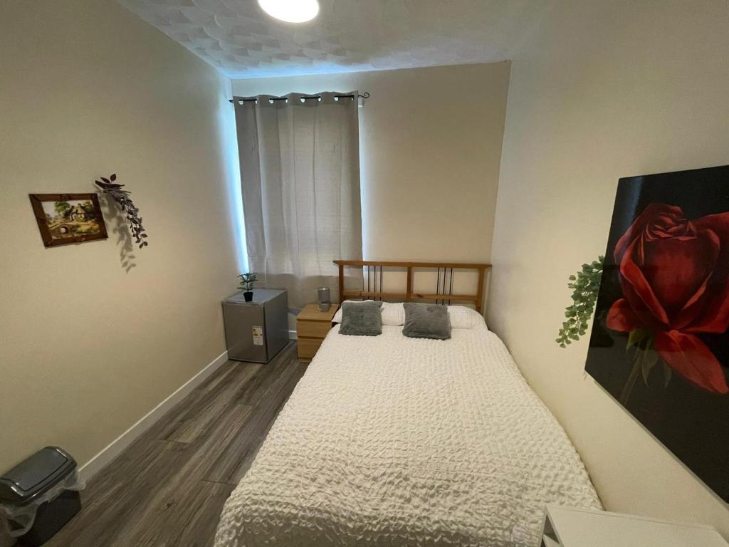 Private room in Glasgow city (Adventure)